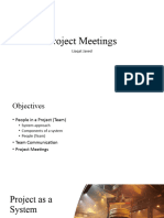 Project Meetings