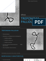 Aula IV - III Treponema Pallidum 15