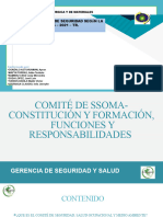 Comité de Ssoma-Constitución y Formación, Funciones y Responsabilidades