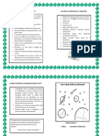 Dossier El Espacio.20210201180029