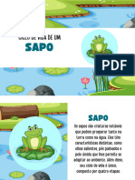 Ciclo Sapo