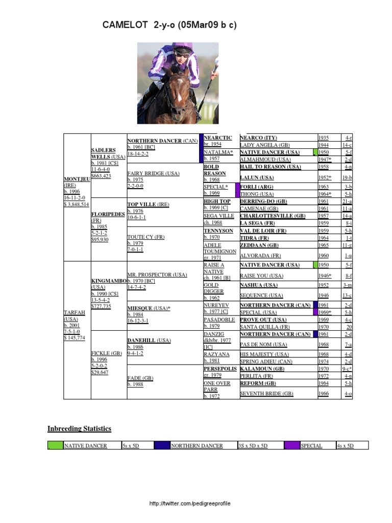 Camelot Racehorse Pedigree Overview | PDF