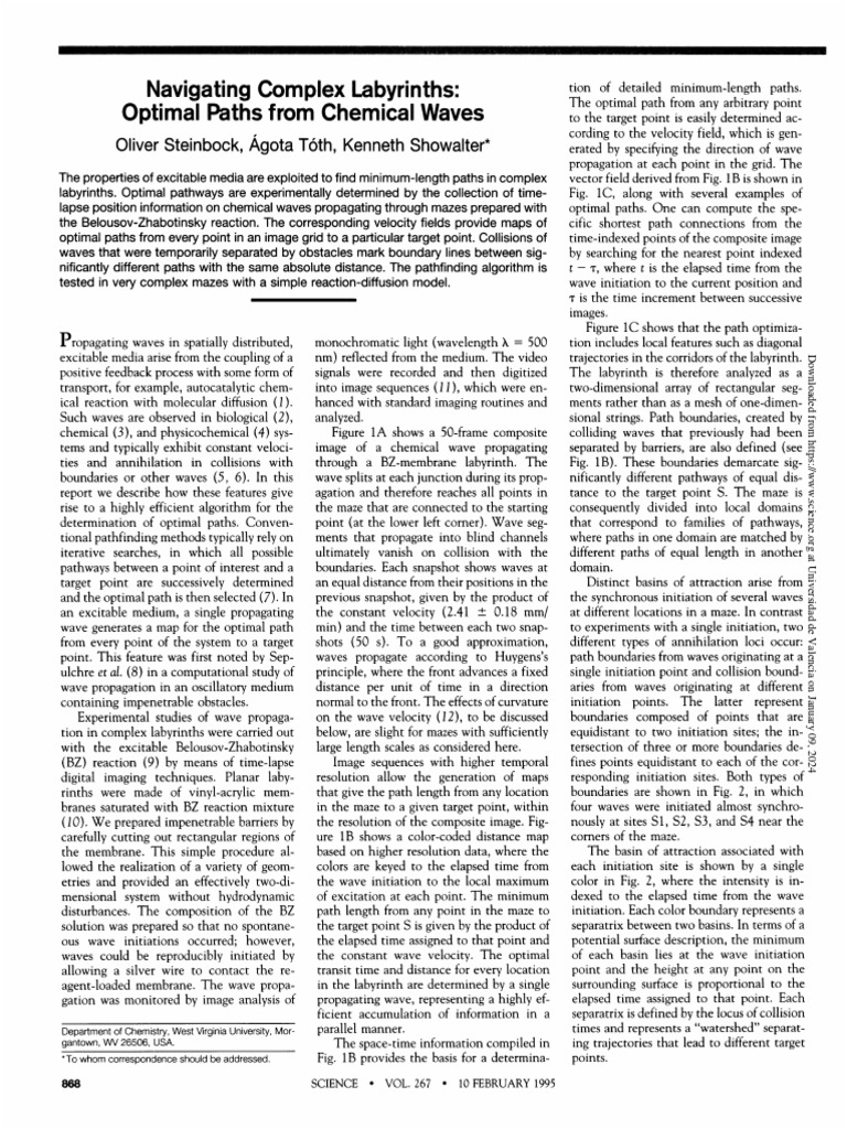 Steinbock - Reaction-Diffusion Model To Solve A Maze - Science 1995 ...