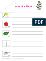 Function-Template Plant