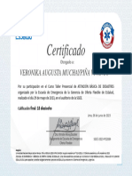 Certificado Del Esaalud Emergencia y Desastre