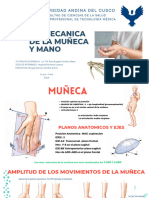 Biomecanica de Muñeca y Mano