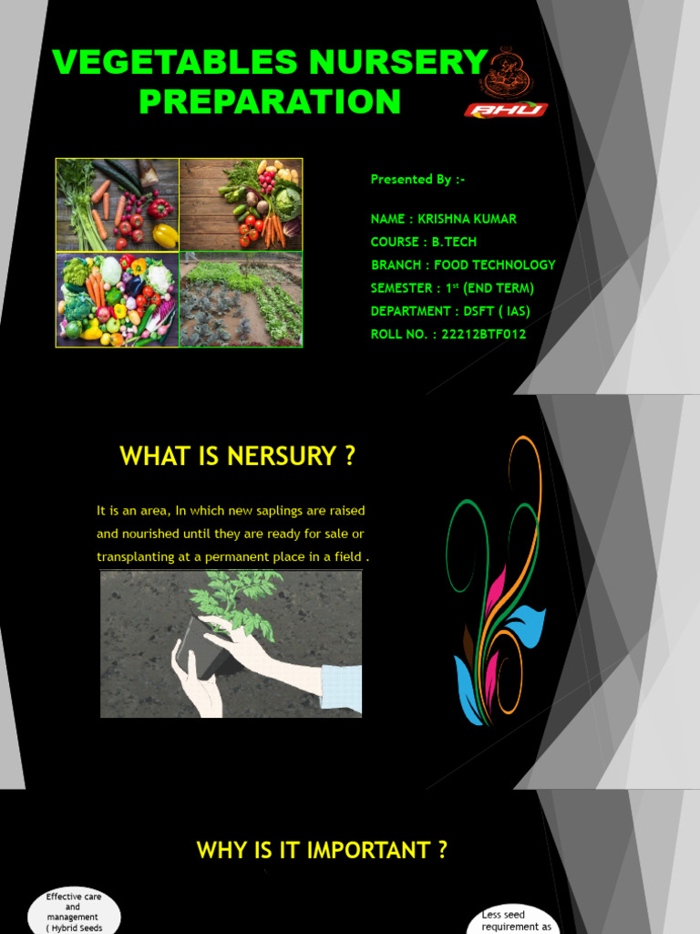 Vegetables Nursery Prepare PDF Plant Nursery Vegetables