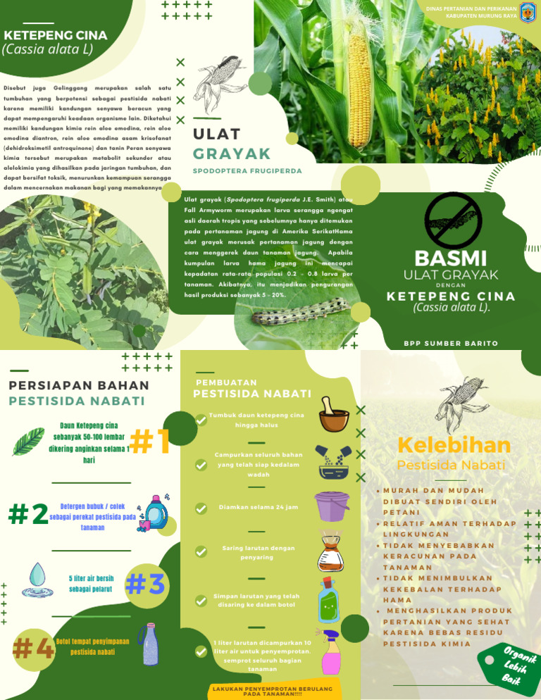 Pengendalian Ulat Grayak pada Jagung | PDF