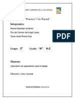 Practica PDF