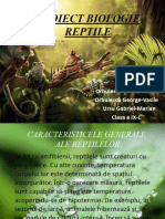 Proiect Biologie Reptile
