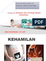 Adaptasi Anatomi Dan Fisiologi Dalam Kehamilan