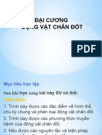 TIẾT TÚC