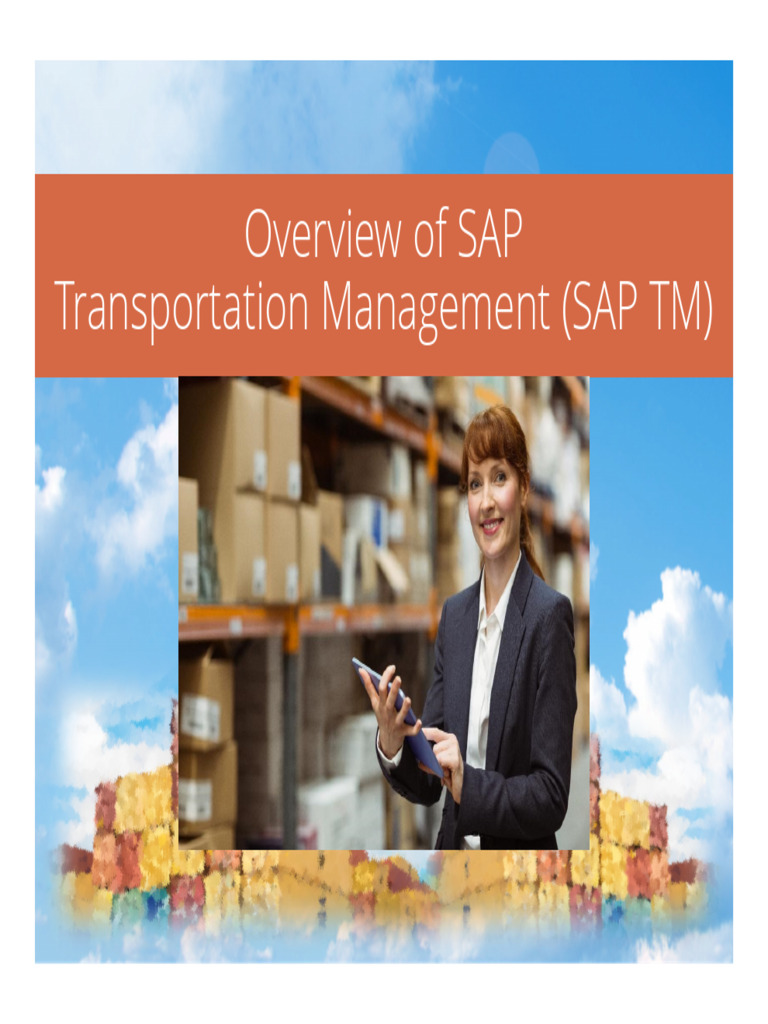 SAP Transportation Management Overview | PDF | Cargo | Transport