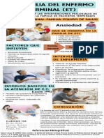 Infografía La Familia Del Enfermo Terminal