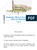 Chap 4 - Sensation, Perception, Illusions