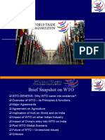 WTO_PRESENTATION