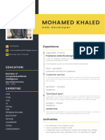 Professional Modern CV Resume