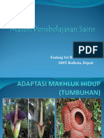 Adaptasi Tumbuhan