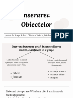 Inserarea Obiectelor 