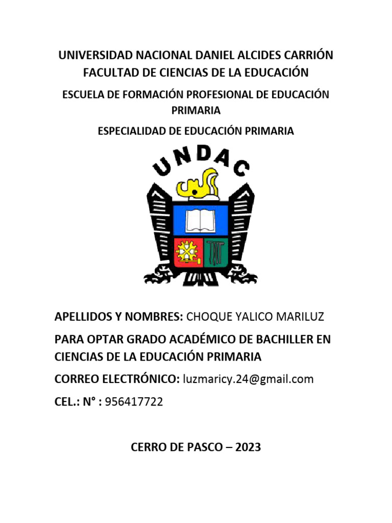 CARATULA UNDAC MARILUZ | PDF