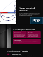 Campul Magnetic Al Pamantului