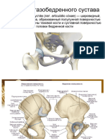 Тазобедренный сустав (лат. articulátio cóxae) - шаровидный, многоосный сустав, образованный полулунной поверхностью вертлужной впадины тазовой кости и суставной поверхностью головки бедренной кости