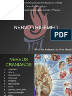 Inervação Nervo Trigemeo