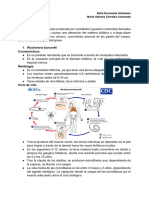 Resumen Filariasis