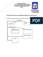 2º Actividad. Osteologia Craneo