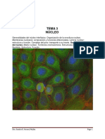 Nucleo Teoria