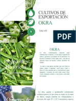 Presentación Okra 2do Parcial - V1