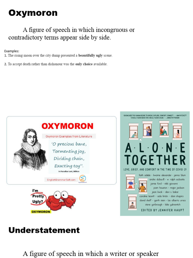 Understanding Oxymorons in Literature | PDF | Paradox
