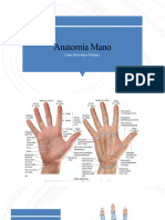 Anatomía Mano TEMA 9.1