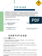 Certificado de Treinamento de NR 05 Rafaella
