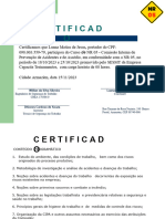 Certificado de Treinamento de NR 05 Luana