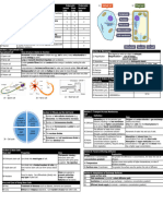 B1 Cell Biology Knowledge Organiser