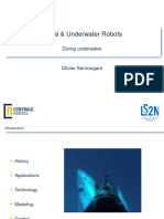 okUnderwater