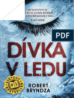 Dívka V Ledu - Robert Bryndza