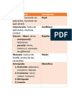 Clasificarea Animalelor