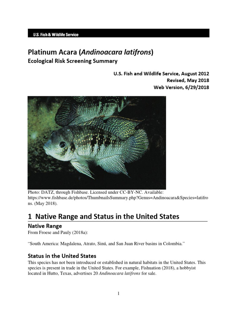 ERSS Andinoacara Latifrons Final June2018 Revised PDF Anatomical