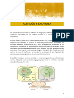 FVI - Tema 11 - Almidón y Sacarosa