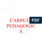 Carpeta Pedagogica