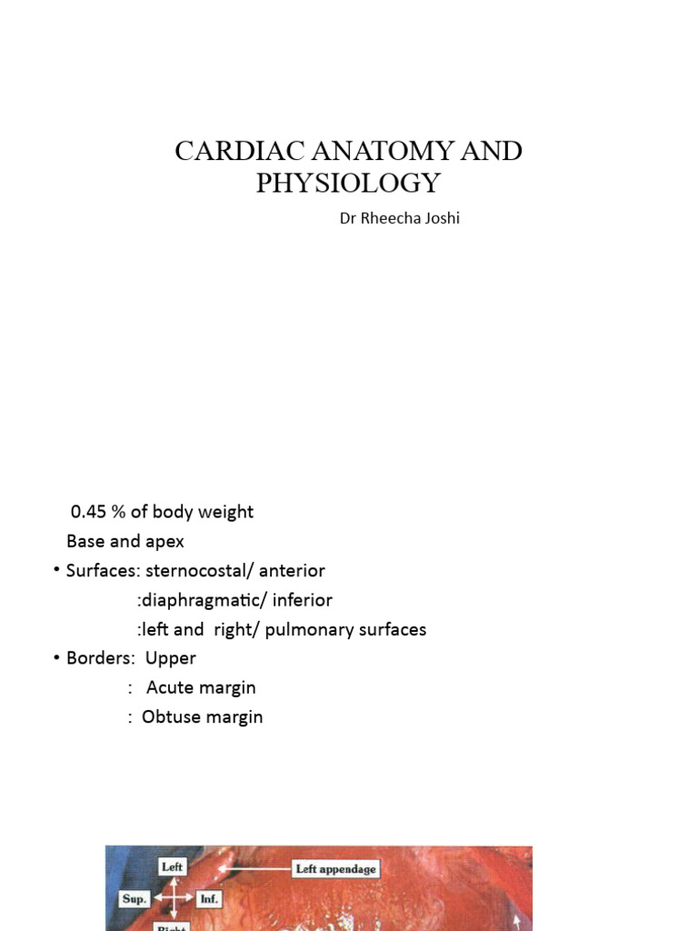 Heart intelligence overview
