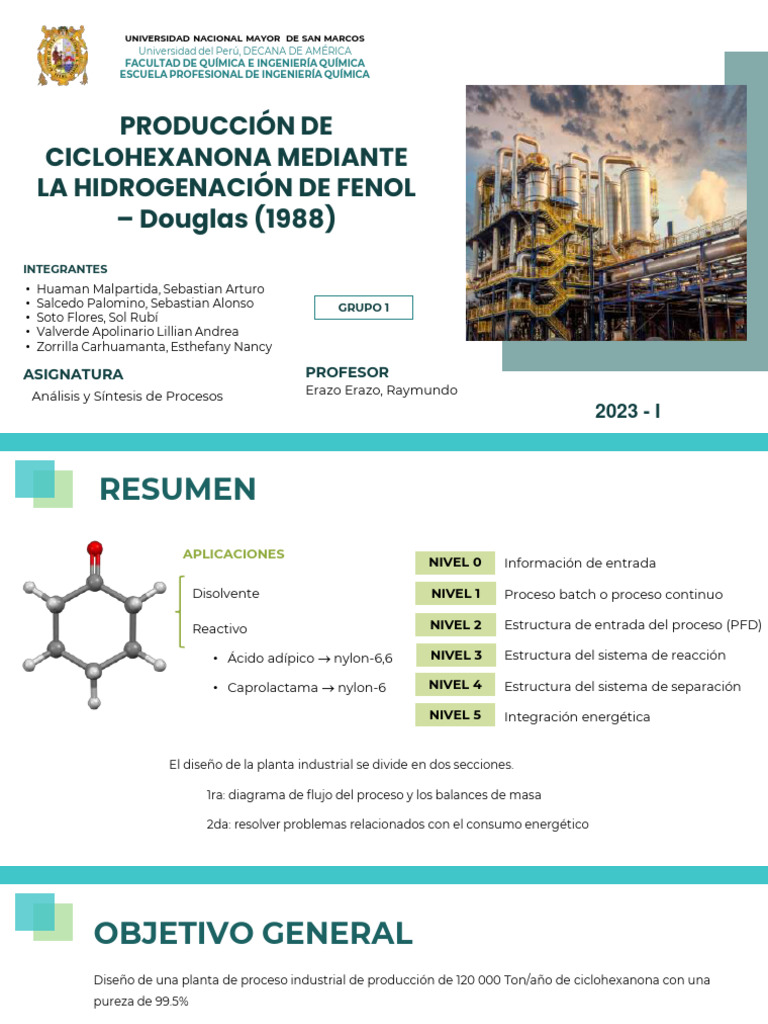 Diseño de Planta para Ciclohexanona | PDF | Contaminación | Reactor Quimico