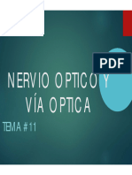Nervio Optico y Vía Optica