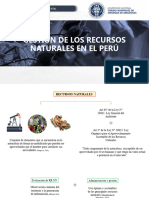 Exposicion - Gestion de Los Recursos Naturales