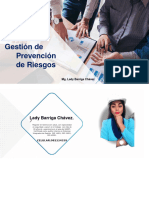 Gestión de Prevención de Riesgos - 27-11