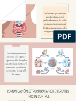 Sistema Endocrino