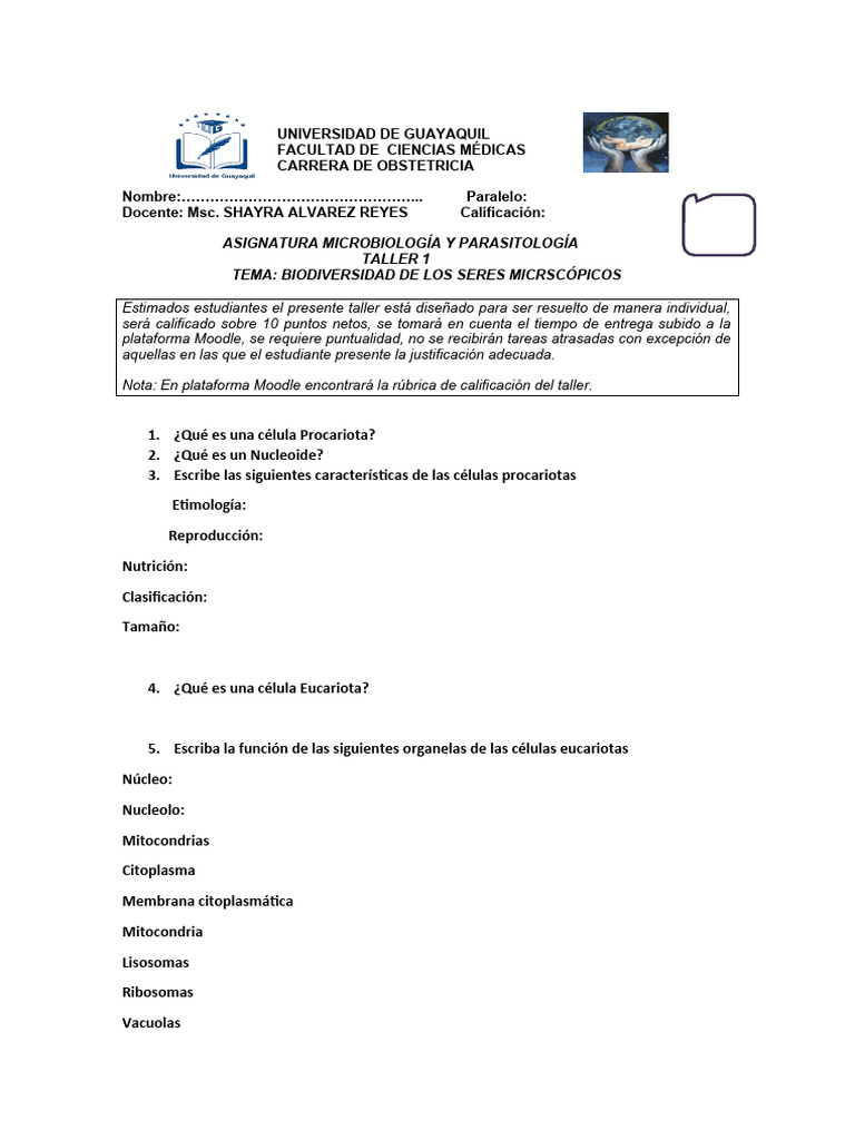 TALLER 1 BIODIVERSIDAD DE LOS SERES MICROSCÓPICOS | PDF | Biología ...