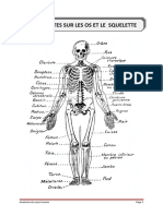 Le Squelette Et Les Os